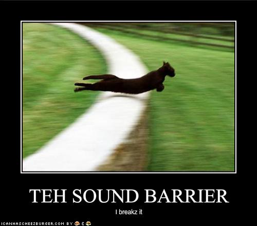 funny-pictures-cat-breaks-the-sound-barrier