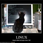 Linux e gatti
